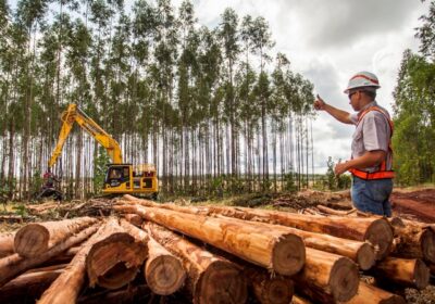 Suzano abre nove processos seletivos com vagas em Ribas do Rio Pardo e Três Lagoas