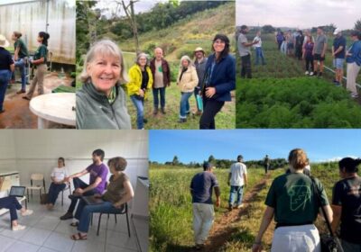 Suzano amplia apoio à agricultura familiar e beneficia mais de 4 mil pessoas em projetos no interior de São Paulo