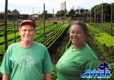 Famílias do Centro de Três Lagoas movimentam R$ 163,8 mil com produção de hortaliças apoiada pela Suzano