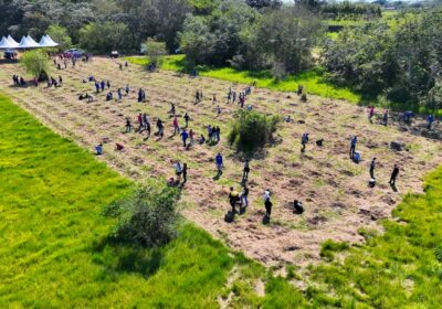 CESP reúne mais de 100 crianças para o plantio de 400 mudas nativas na região da Lagoa São Paulo