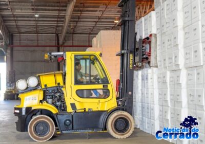 Celulose se consolida como nova locomotiva da indústria de MS