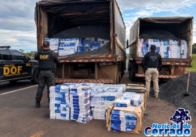 FICCO e DOF apreendem 41 mil pacotes de cigarros contrabandeados em Ribas