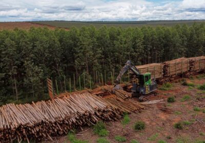Suzano abre 12 vagas de emprego em Ribas do Rio Pardo, Três Lagoas e Bataguassu