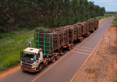 Suzano tem 11 processos seletivos abertos em Ribas do Rio Pardo e Três Lagoas