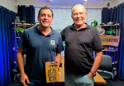 Florestas plantadas avançam e ampliam oportunidades em Mato Grosso do Sul