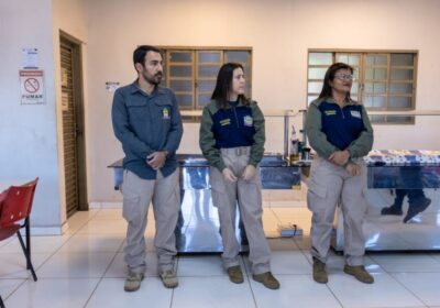 Ribas do Rio Pardo orienta trabalhadores sobre proteção de animais silvestres
